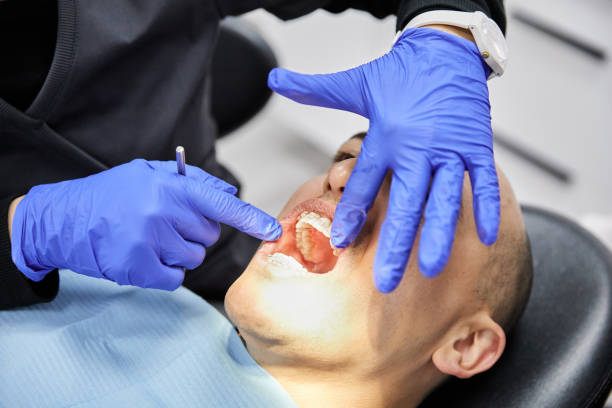 Best Broken or Chipped Tooth Repair in Palos Park, IL